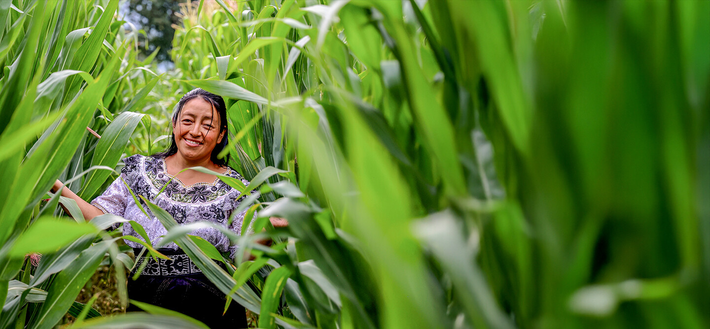 Woman stands among crops