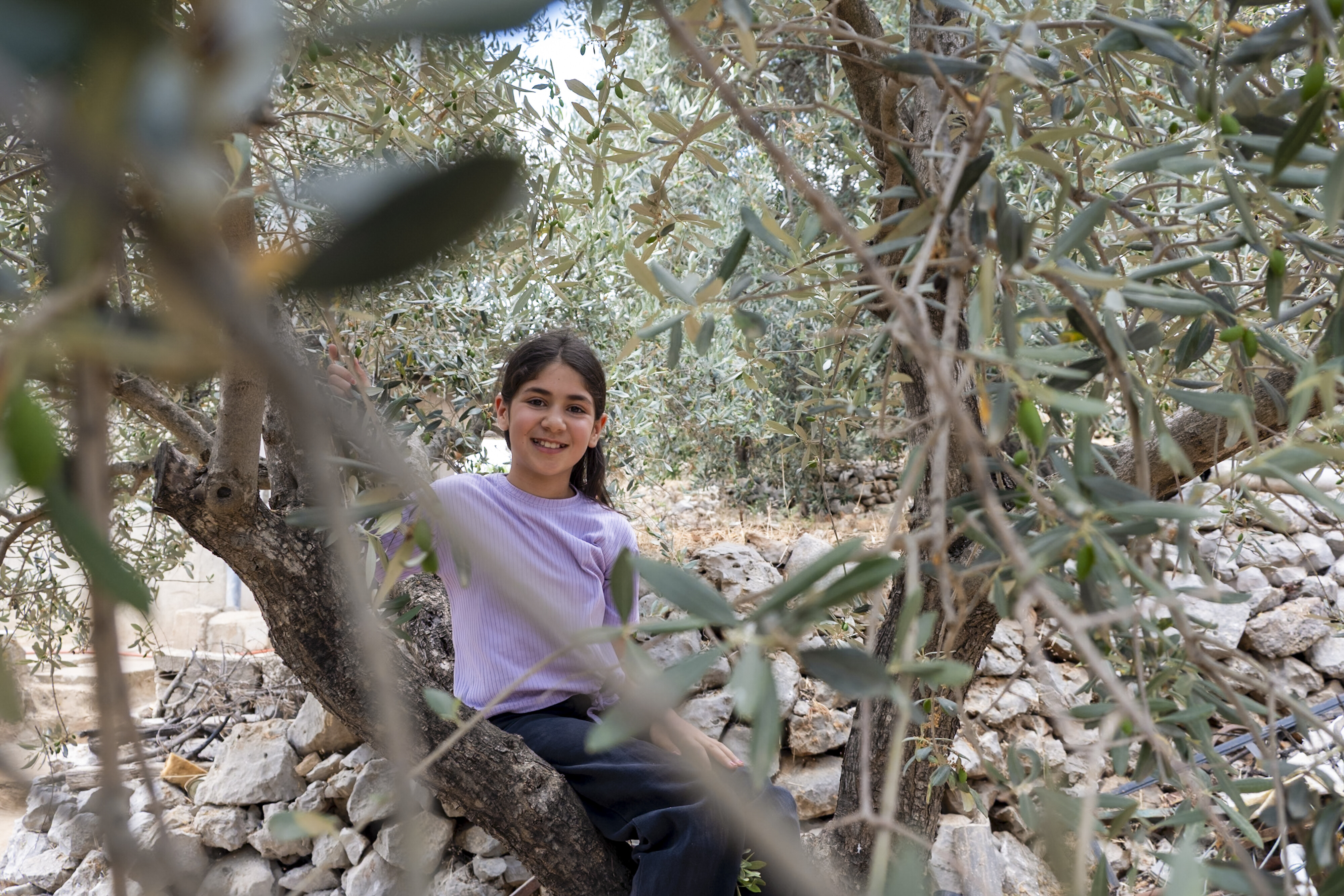 A smiling girl in a purple shirt sits on a tree branch, surrounded by green leaves and rocks in the background.