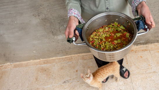 A person holds a pot of vegetable stew while a small orange kitten stands near their feet on a tiled floor.