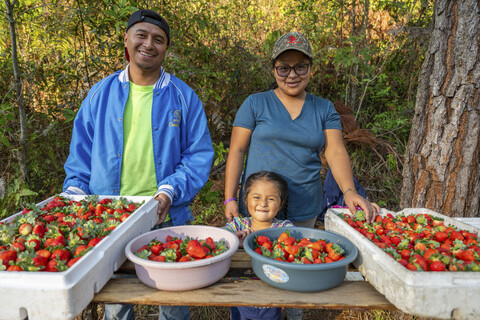 Three people stand outdoors behind a table full of harvested strawberries in trays and bowls, smiling at the camera.