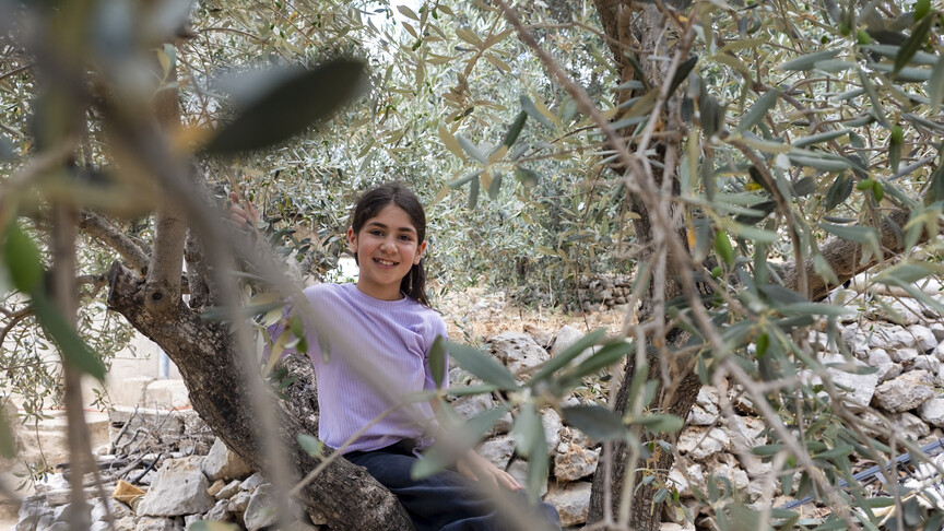 A smiling girl in a purple shirt sits on a tree branch, surrounded by green leaves and rocks in the background.