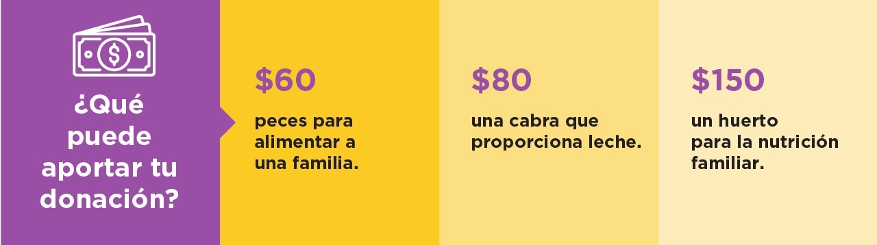 ¿Qué puede aportar tu donación? $40 balanzas para evaluar el crecimiento de los bebés. $80 gallinas ponedoras, fuente de proteína e ingresos. $120 contribuye a un huerto para la nutrición familiar.