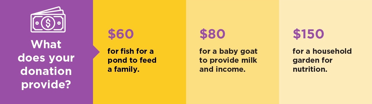 What does your donation provide? $40 helps purchase infant scales to measure babies' growth. $80 helps raise chickens to provide eggs for protein and income. $120 contributes toward a household garden for family nutrition.